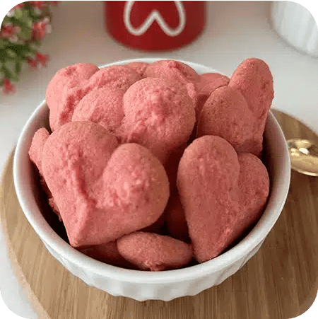 receitas biscoiteira2